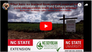 Soybean Update Video