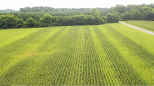 Cover photo for Video: 5-Minute Field Day on Corn Side-Dressing