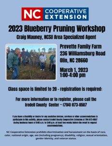 Cover photo for 2023 Iredell County Blueberry Pruning Workshop