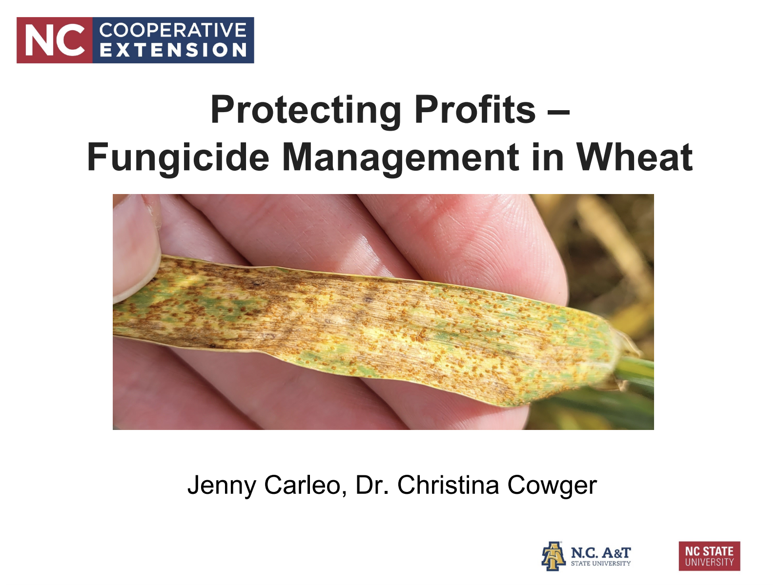 Protecting Profits - Fungicide Management in Wheat