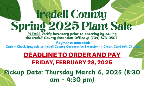 Iredell County Spring Plant sale. Please verify inventroy prior to ordering by calling the Iredell CES office at 704-873-0507. Payments accepted are cash, check or credit card (susceptible for 4% service charge) Order and pay by Friday, February 28th. Plant pickup on March 6, 2025. 