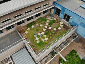 Aerial view of a green roof